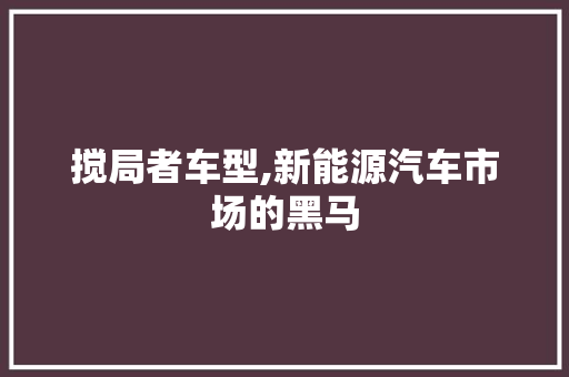 搅局者车型,新能源汽车市场的黑马