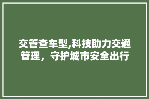 交管查车型,科技助力交通管理，守护城市安全出行