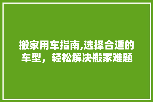 搬家用车指南,选择合适的车型，轻松解决搬家难题