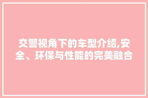 交警视角下的车型介绍,安全、环保与性能的完美融合