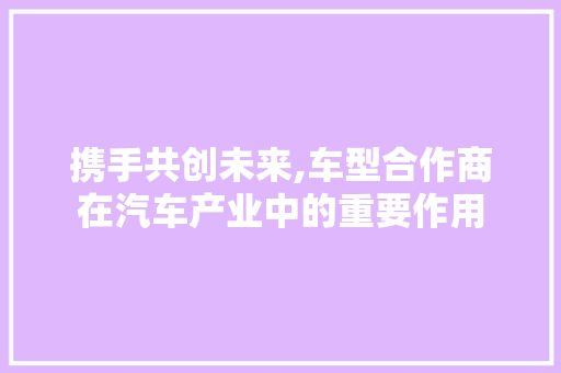 携手共创未来,车型合作商在汽车产业中的重要作用