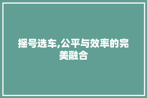 摇号选车,公平与效率的完美融合 底盘配件
