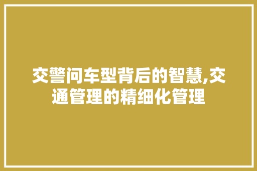 交警问车型背后的智慧,交通管理的精细化管理