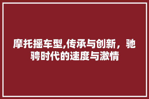 摩托摇车型,传承与创新，驰骋时代的速度与激情 变速箱配件