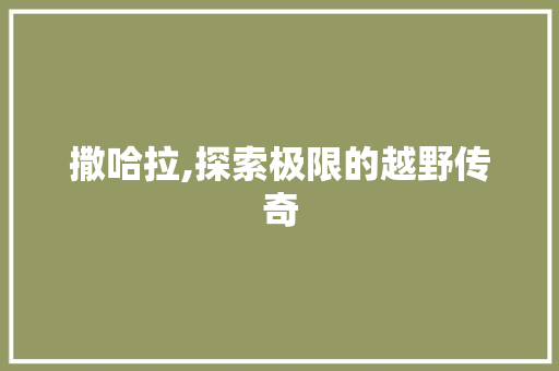撒哈拉,探索极限的越野传奇