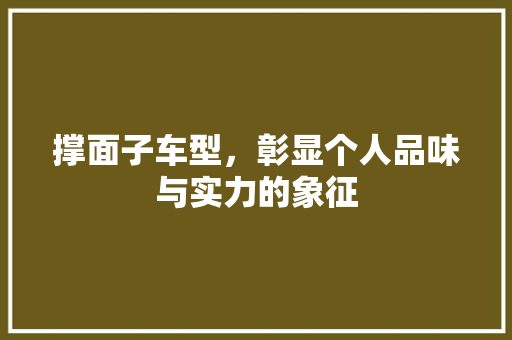 撑面子车型，彰显个人品味与实力的象征