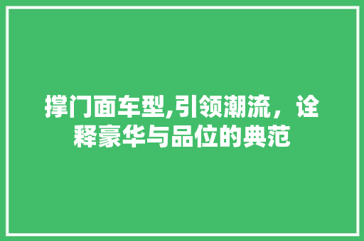 撑门面车型,引领潮流，诠释豪华与品位的典范