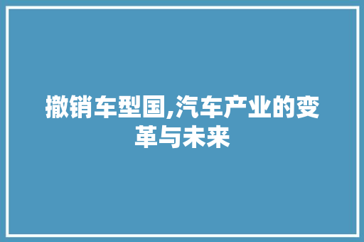 撤销车型国,汽车产业的变革与未来