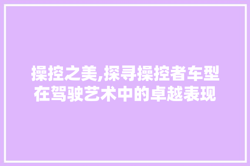 操控之美,探寻操控者车型在驾驶艺术中的卓越表现