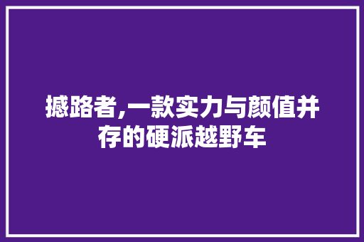 撼路者,一款实力与颜值并存的硬派越野车