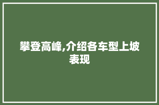 攀登高峰,介绍各车型上坡表现