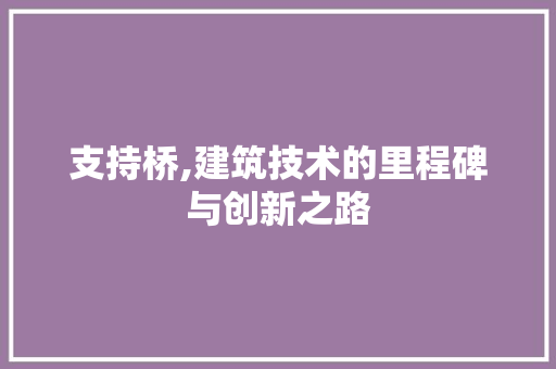 支持桥,建筑技术的里程碑与创新之路