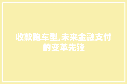 收款跑车型,未来金融支付的变革先锋