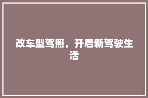 改车型驾照，开启新驾驶生活