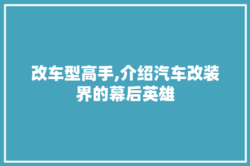 改车型高手,介绍汽车改装界的幕后英雄