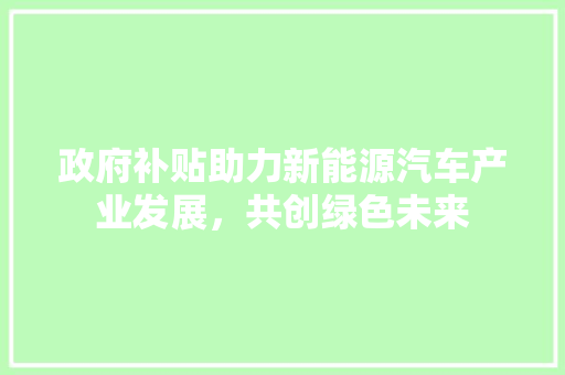 政府补贴助力新能源汽车产业发展，共创绿色未来