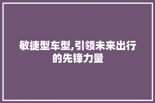 敏捷型车型,引领未来出行的先锋力量