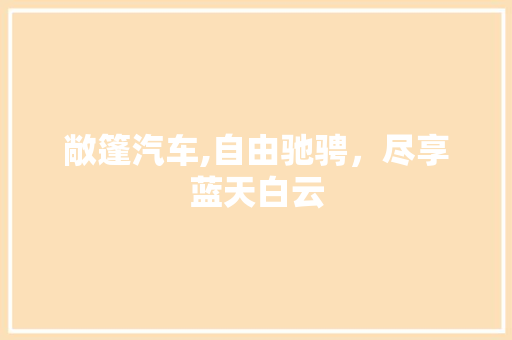 敞篷汽车,自由驰骋，尽享蓝天白云