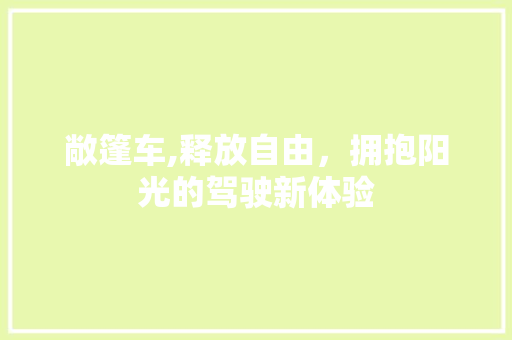 敞篷车,释放自由，拥抱阳光的驾驶新体验