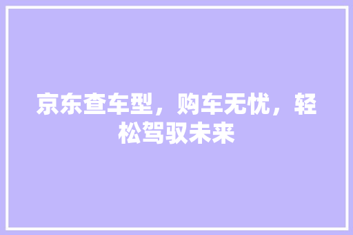 京东查车型，购车无忧，轻松驾驭未来