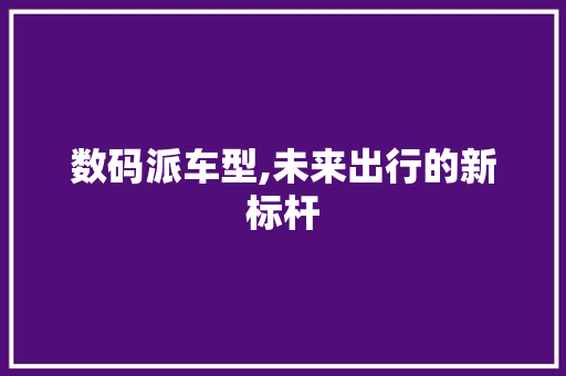 数码派车型,未来出行的新标杆