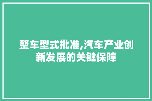 整车型式批准,汽车产业创新发展的关键保障