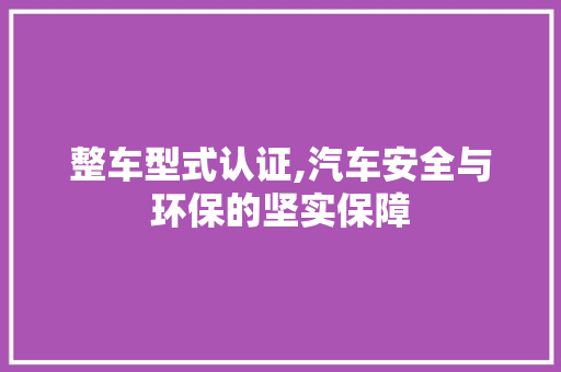 整车型式认证,汽车安全与环保的坚实保障
