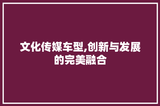 文化传媒车型,创新与发展的完美融合