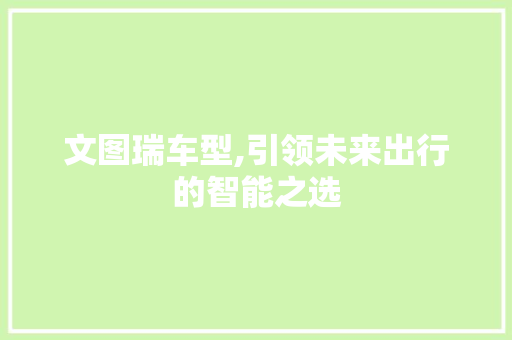 文图瑞车型,引领未来出行的智能之选