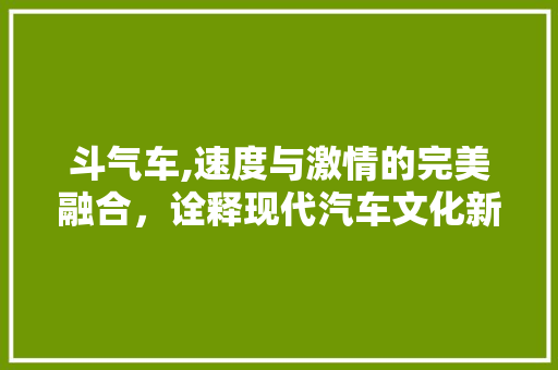 斗气车,速度与激情的完美融合，诠释现代汽车文化新高度