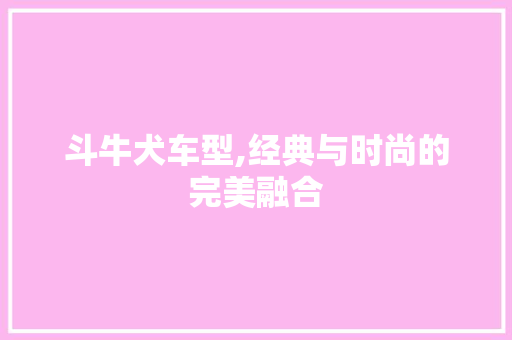 斗牛犬车型,经典与时尚的完美融合