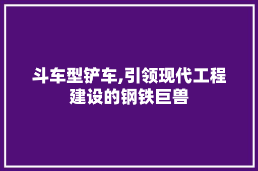 斗车型铲车,引领现代工程建设的钢铁巨兽