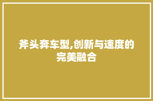 斧头奔车型,创新与速度的完美融合 底盘配件