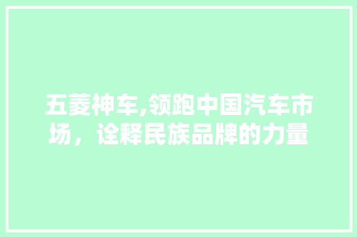 五菱神车,领跑中国汽车市场，诠释民族品牌的力量