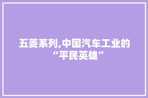 五菱系列,中国汽车工业的“平民英雄”