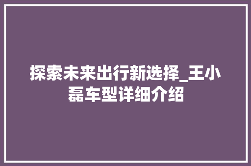 探索未来出行新选择_王小磊车型详细介绍