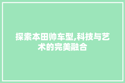 探索本田帅车型,科技与艺术的完美融合