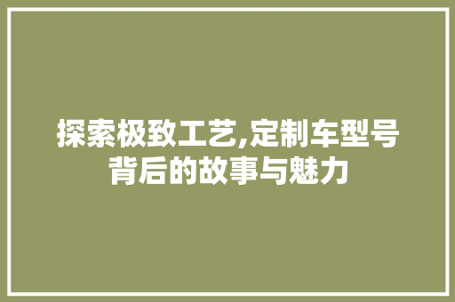 探索极致工艺,定制车型号背后的故事与魅力 车灯配件