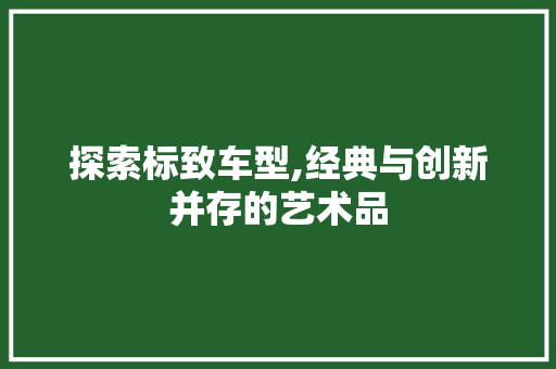 探索标致车型,经典与创新并存的艺术品