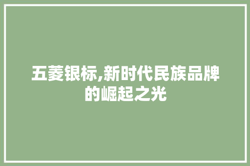 五菱银标,新时代民族品牌的崛起之光