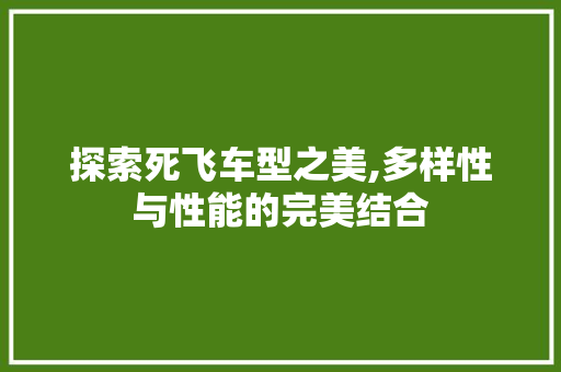 探索死飞车型之美,多样性与性能的完美结合