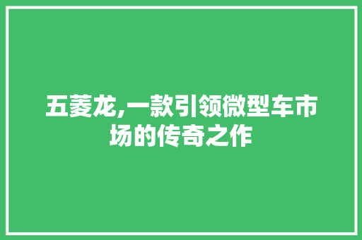 五菱龙,一款引领微型车市场的传奇之作