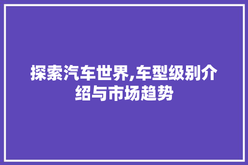 探索汽车世界,车型级别介绍与市场趋势