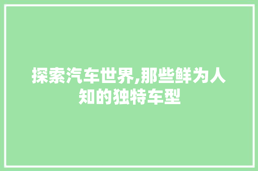 探索汽车世界,那些鲜为人知的独特车型