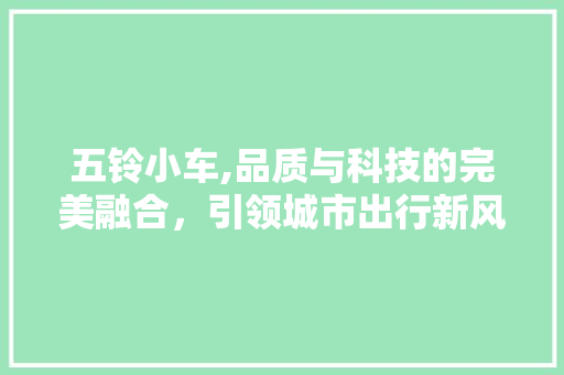 五铃小车,品质与科技的完美融合，引领城市出行新风尚