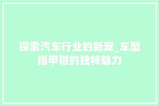 探索汽车行业的新宠_车型指甲钳的独特魅力