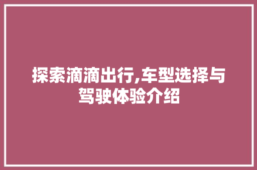 探索滴滴出行,车型选择与驾驶体验介绍