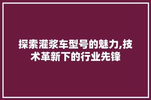 探索灌浆车型号的魅力,技术革新下的行业先锋