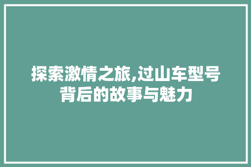 探索激情之旅,过山车型号背后的故事与魅力