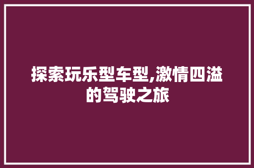 探索玩乐型车型,激情四溢的驾驶之旅